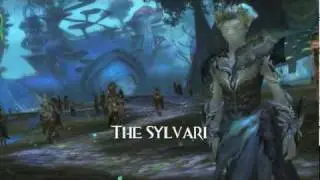Guild Wars 2 - 