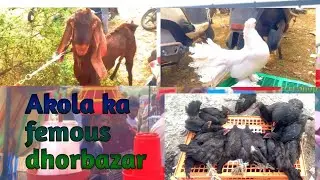 Chhota poetryform Afzal Khan is live! #India#Akola#￼public#Viral video#Maharashtra#YouTube#Bollywood