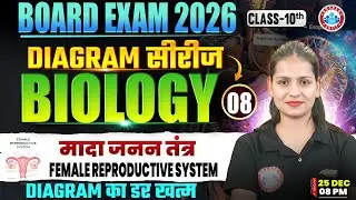 Class 10 Biology Diagrams | Female Reproductive System | 10th Biology Diagram Series