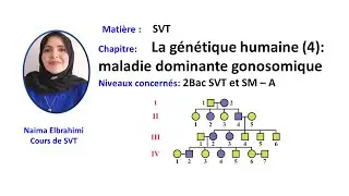 Cours SVT 2 Bac Biof: La génétique humaine (4):maladie dominante liée au gonosome X - 2Bac SVT - SM
