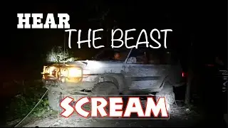 Hear the Beast Scream: RedWinch Hornet 2 XL + Supercharger