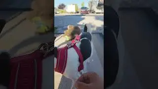 He Dropped the Habit