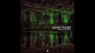 SONIC FUNGI (Psy Bush Tech Mix 2023)