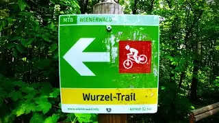 Maxxis High Roller (3) auf den Hometrails pt3: Wurzel-Trail 29.04.25