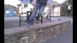 No Comply 720 Shuv