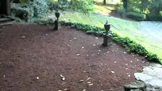 Dunaway Gardens