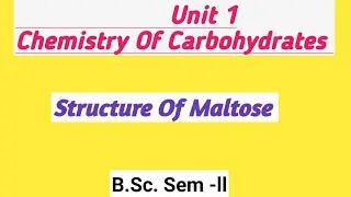 Carbohydrates: Structure Of Maltose @NOBLECHEMISTRY
