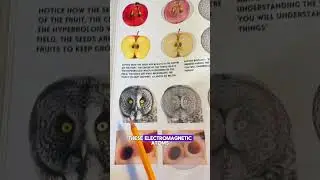 Electromagnetism in Nature #spiritualawakening