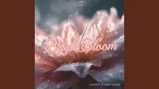 Effervescent Thoughts