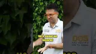PASEO CON CORREA 🐾 1 | Consejos Adiestramiento Canino 🐶
