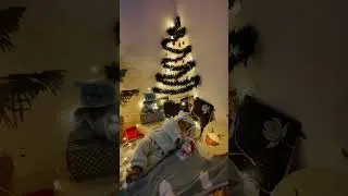TB to cozy naps under Christmas lights 🎄✨💤  #shorts #babyshorts #viralvideo  #nirvaay #indianbaby