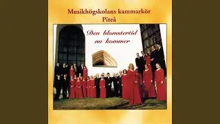 Tvenne folkvisor: Femton finnar