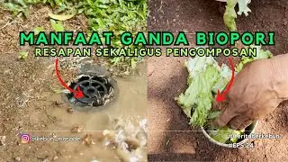 BIOPORI BISA MENGURANGI GENANGAN & JADI TEMPAT PEMBUANGAN SAMPAH ORGANIK, SOLUSI MASALAH LINGKUNGAN!