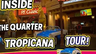 Exploring the Tropicana for the first time