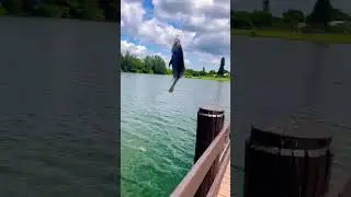 HERE FISHY FISHY FISHY🐟😭 #viral #fishing #skit #funny