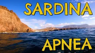 APNEA en SARDINA del Norte ★ GRAN CANARIA 🌊