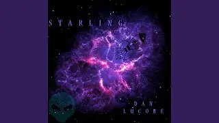Nocturnal Symphony