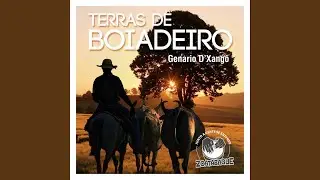 Boiadeiro Mensageiro Da Jurema