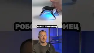 Умный робот-питомец для помощи в работе