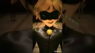 miraculous cat noir l joker l #viral# #miraculous #