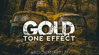 Tutorial Lightroom Mobile - Gold Tone Effect