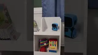 Kids Toy Storage & Bookshelf (2025) | Clean Playroom in Minutes!