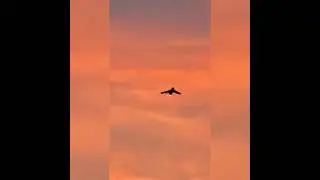 Amazing speed🌝🔥#short #shortsvideo #usa #army #aviation #aviation #aviator #edit #india