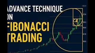 The Ultimate Fibonacci Trading Guide: Strategies, Level 1#birdtrend 