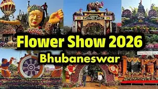 Flower Show 2026 Bhubaneswar 🌼 Ekamra Kanan Botanical garden Bhubaneswar #shorts  #flowershows