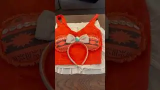 Amazon Disney Bound Outfits with Minnie Mouse Ears