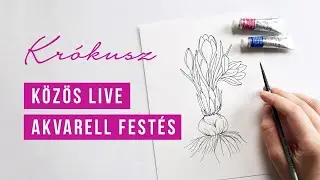 KÖZÖS FESTÉS - Krókusz botanikai illusztráció  | akvarell festés kezdőknek