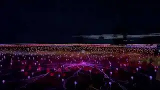 Uluru, Field Of Light
