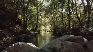 Meditation music for positive energy | Mind calming music | Blowing Zen