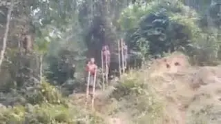 amazing boys walking on wooden legs