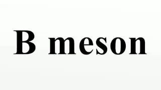 B meson