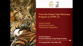 From the Global Tiger Recovery Program to GTRP 2.0