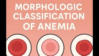 ⚡️ Morphologic Classification of Anemia 🩸📊 #medical