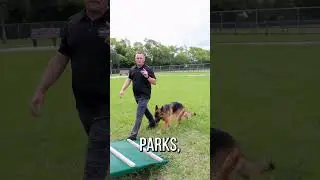Only Use the Dog Park When No One&rsquo;s Around