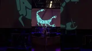 POV: Day in the life playing a sold-out show! 🤩#Concert #Music #Performance #shorts #dayinthelife