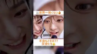 チュアズの世界一平和すぎる時間🥹🍊🐰 #andteam #andteam_ej #ウィジュ #andteam_harua #harua #ハルア