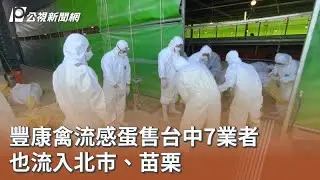 豐康禽流感蛋售台中7業者 也流入北市、苗栗｜20260130 公視午間新聞