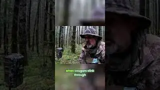 Place Trail Cameras Lower: Capture More Predators #shorts
