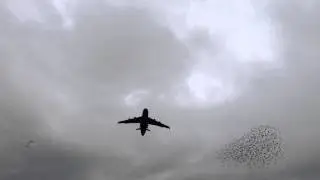 C-5 Galaxy Departure Flyover (HD)