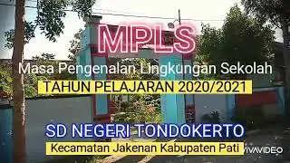 MPLS 2020/2021, SDN Tondokerto
