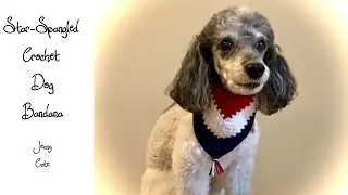 Star-Spangled Crochet Dog Bandana Rows 9-15