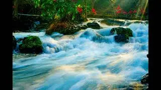 River of Joy