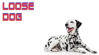 Loose Dog - Indie Horror Game - Full Playthrough
