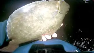 Early Pre-Season BIG FLUKE / SUMMER FLOUNDER - Fishing Surprise on the Daiwa SP Minnow