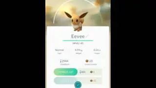 Pokemon GO: Road to mew: 10 km egg opening!