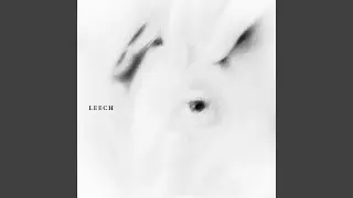 Leech